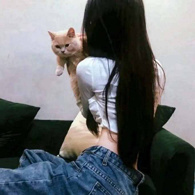 新弦